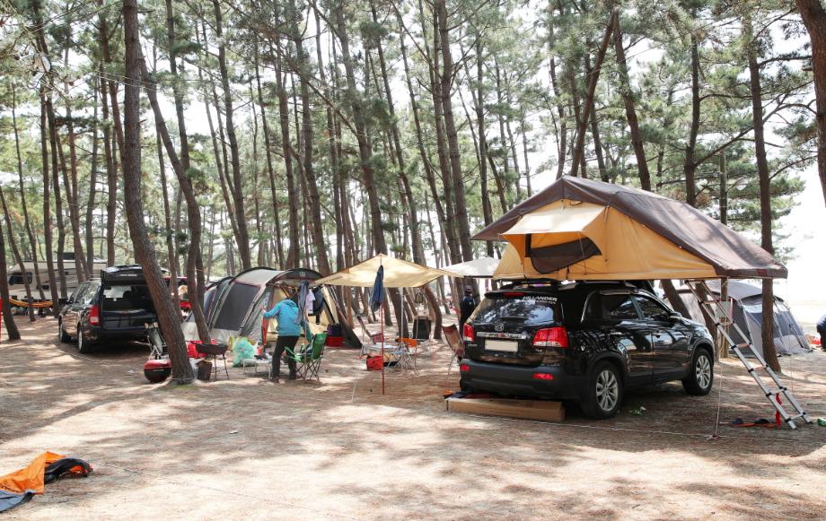 깊어가는 가을, 충남 태안은 지금 ‘축제 중!’