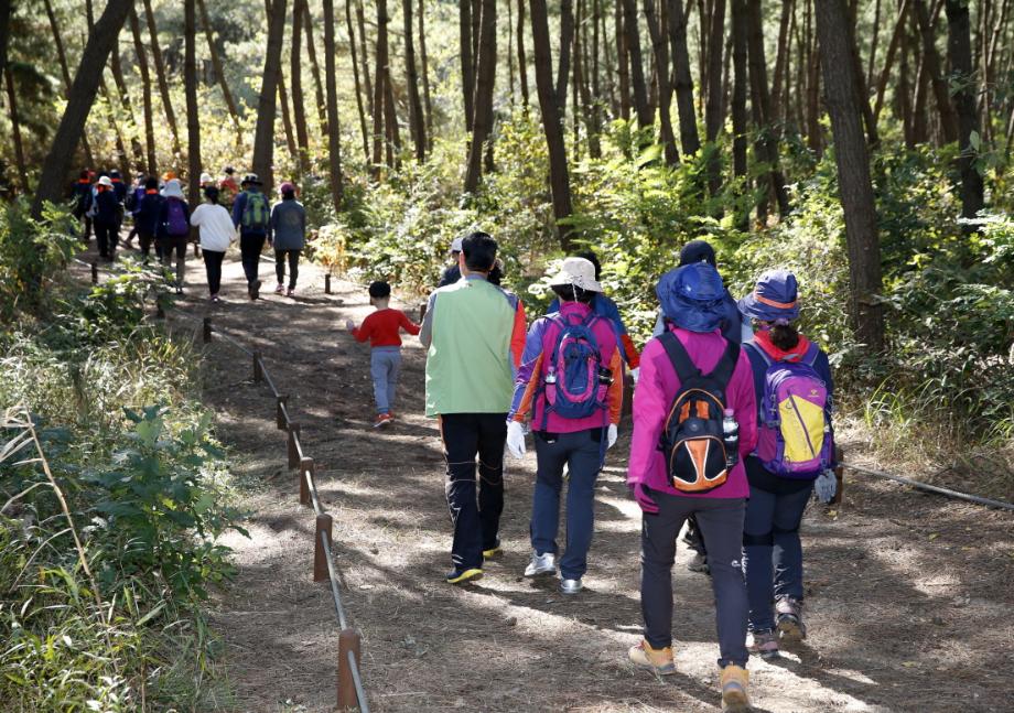 태안군, 솔향기길에서 ‘행복한 가을 산책’ 즐겨보세요!