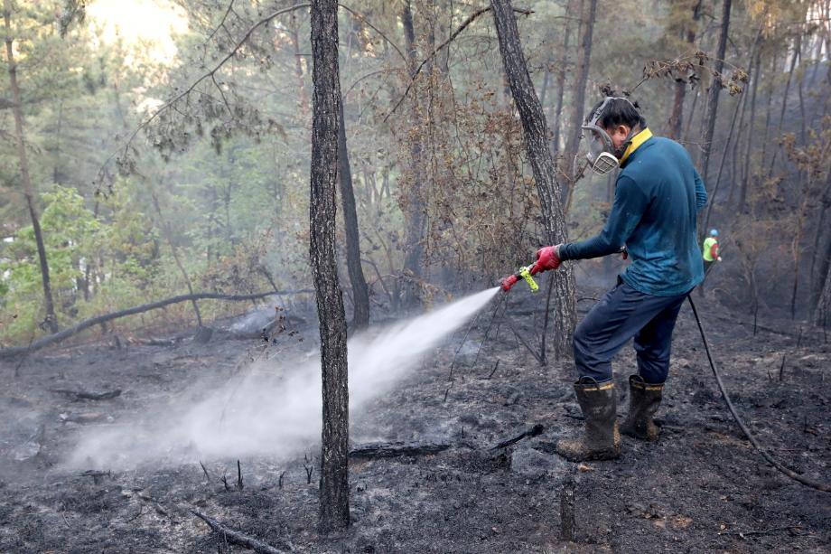 태안군, 가을철 산불예방 활동 본격 돌입