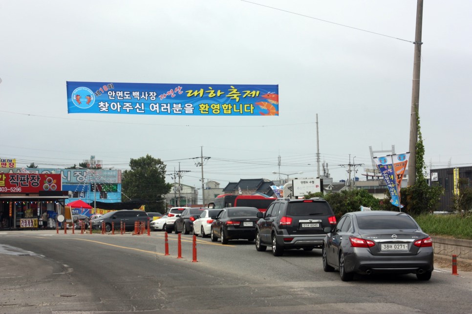 [태안축제] 안면도 백사장 대하축제 시작!
