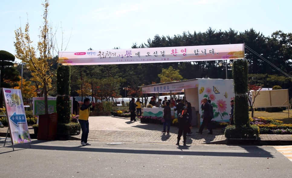 [태안축제] 국화의 향기를 따라 태안으로 떠나요!!