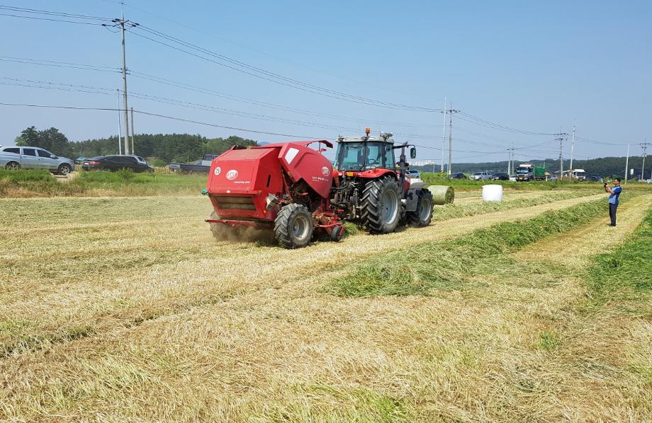 태안군, ‘2기작 재배’로 농업인 어려움 해소에 앞장