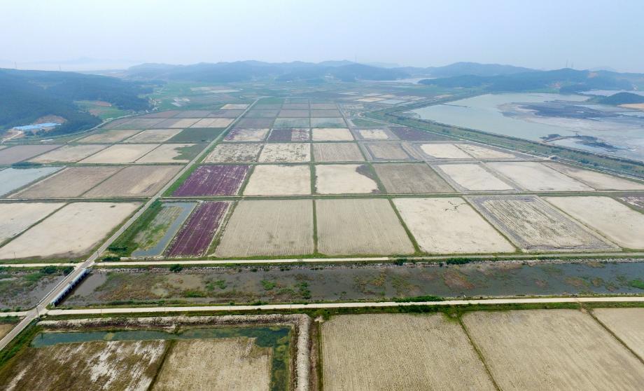 태안군, 시설원예의 ‘新 핵심거점’ 된다!