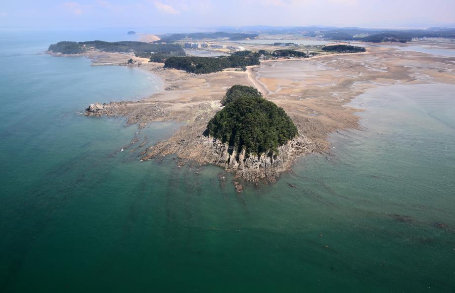 태안군 곰섬 공동체, 해삼 사업으로 미래를 일구다!