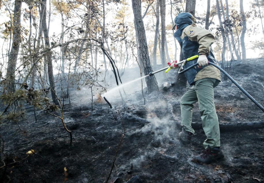 태안군, ‘군민 피해 막는다!’ 봄철 산불방지 활동 돌입!