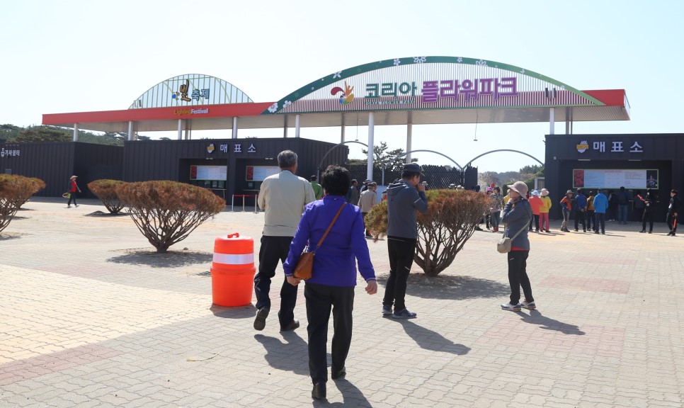 태안 튤립축제에서 인생샷을! 튤립향 맡으며, 튤립꽃길 걸어요!!