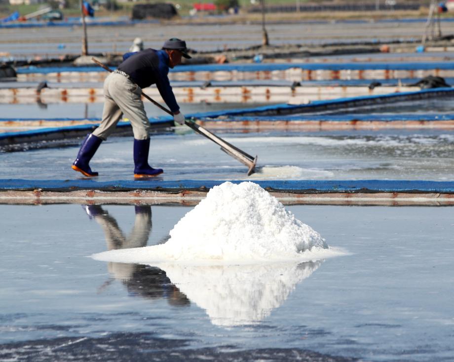 태안군, 명품 ‘송화소금’ 본격 생산 돌입!