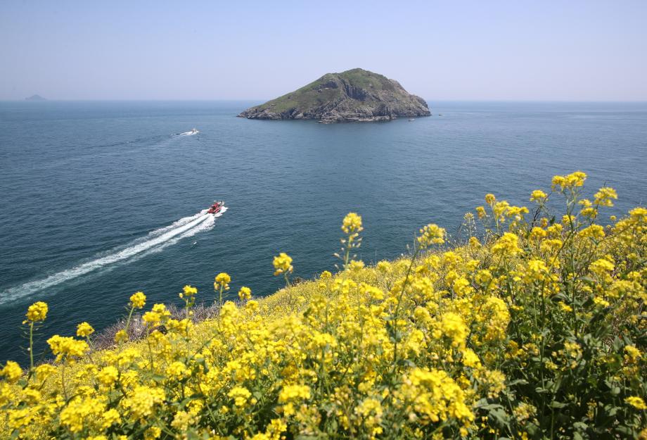 ‘서해의 독도’ 태안군 격렬비열도에 찾아온 때늦은 봄