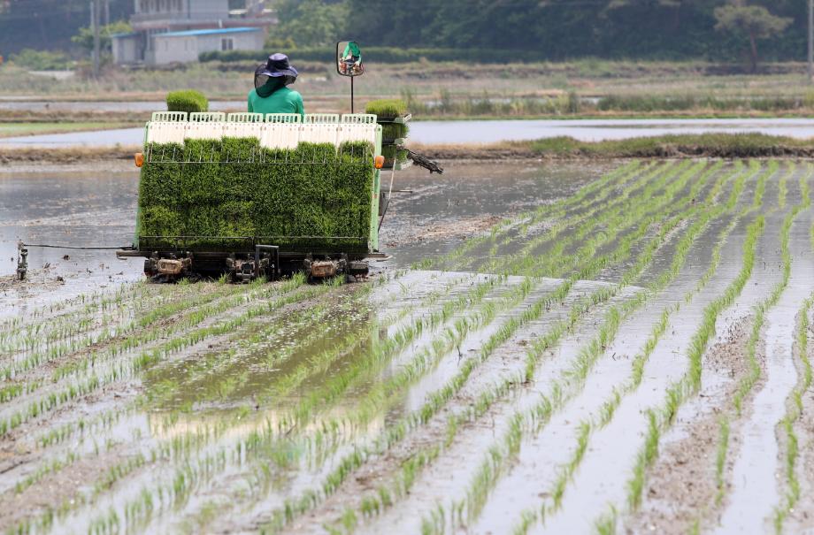 태안군, 모내기철 병해충 예방에 총력!