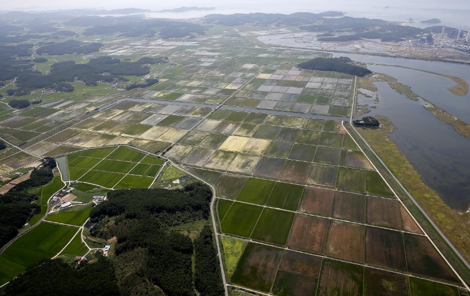 태안군, ‘2018 스마트팜 혁신밸리’ 정부 공모사업 1차관문 통과!