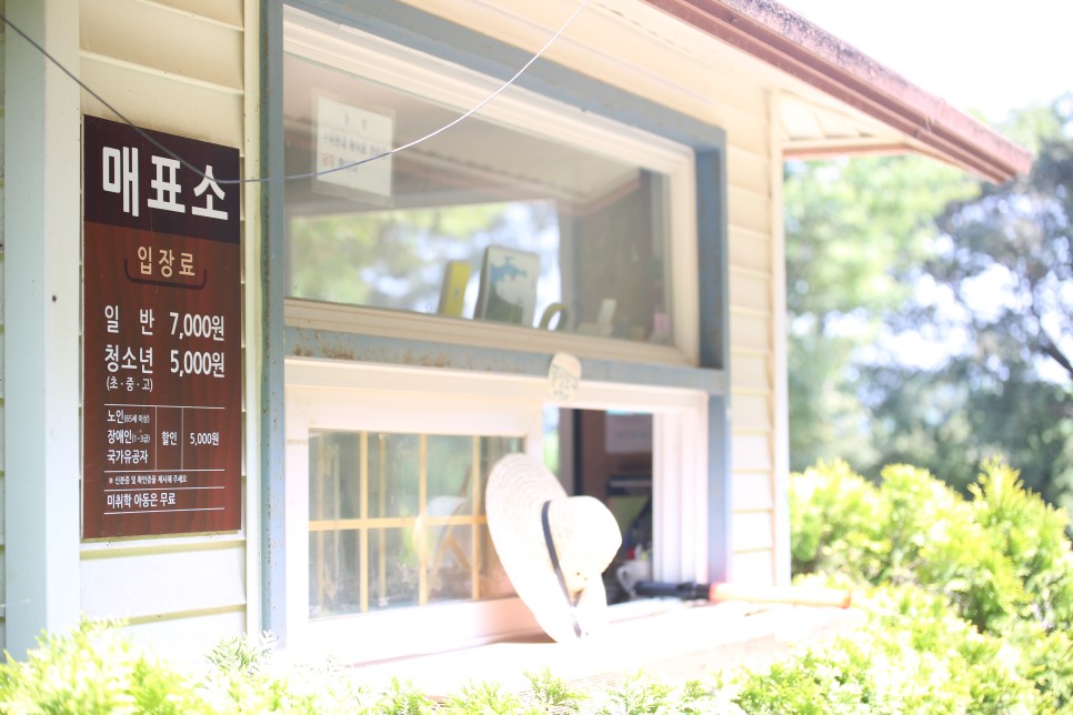 청산수목원 연꽃세상 페스티벌 | 태안 감성여행