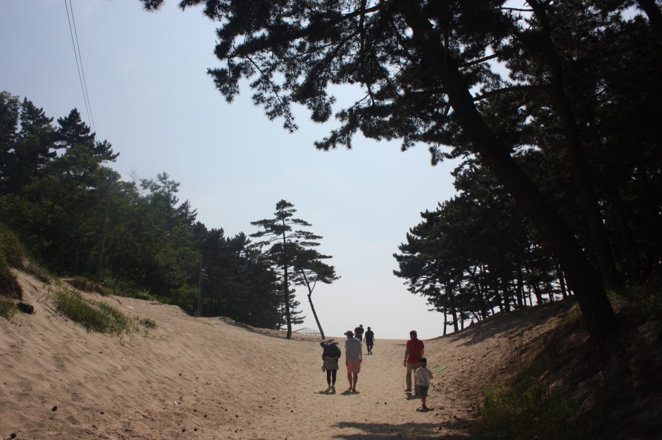 올 여름, 태안 해수욕장 여기어때?