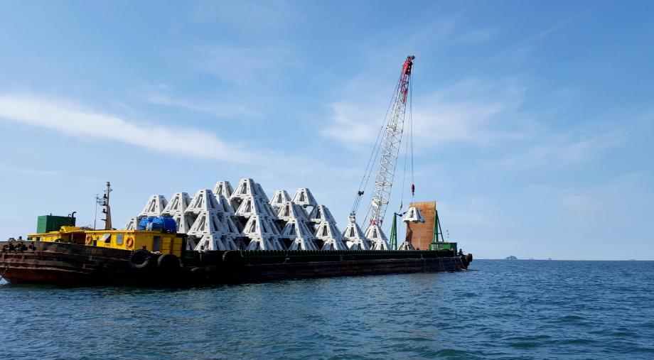 태안군 수산자원 복원에 150억 투입, 수산업 미래 ‘맑음’