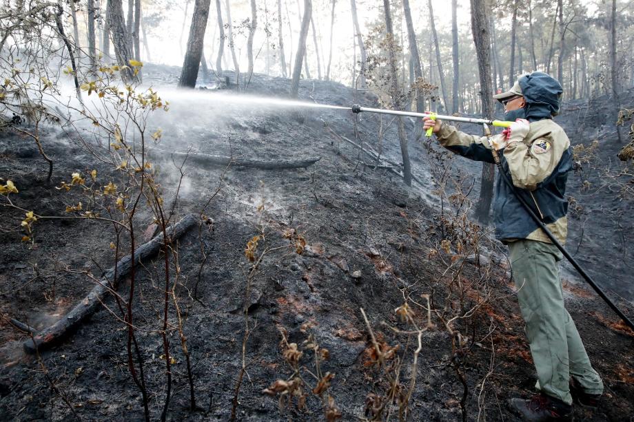 태안군, 가을철 산불예방 활동 본격 돌입