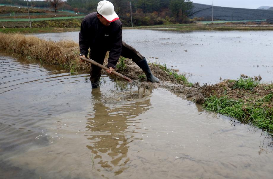 태안군, ‘논물가두기’로 봄 가뭄 선제 대비 총력!