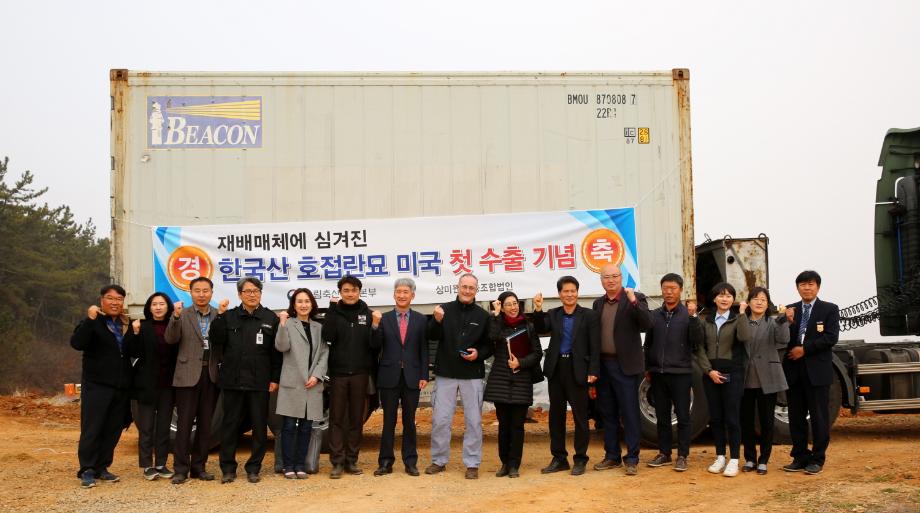 태안군, 한국산 호접란 최초로 ‘호접란 분화(盆花) 미국 수출!’