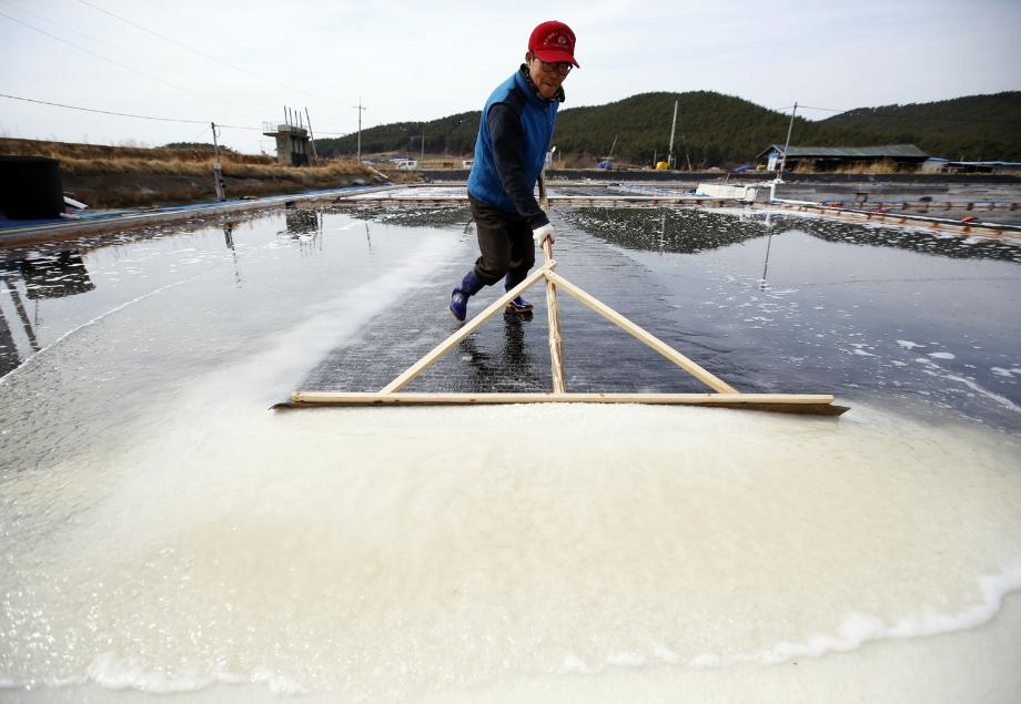태안군, 명품 천일염 본격 생산 시작!