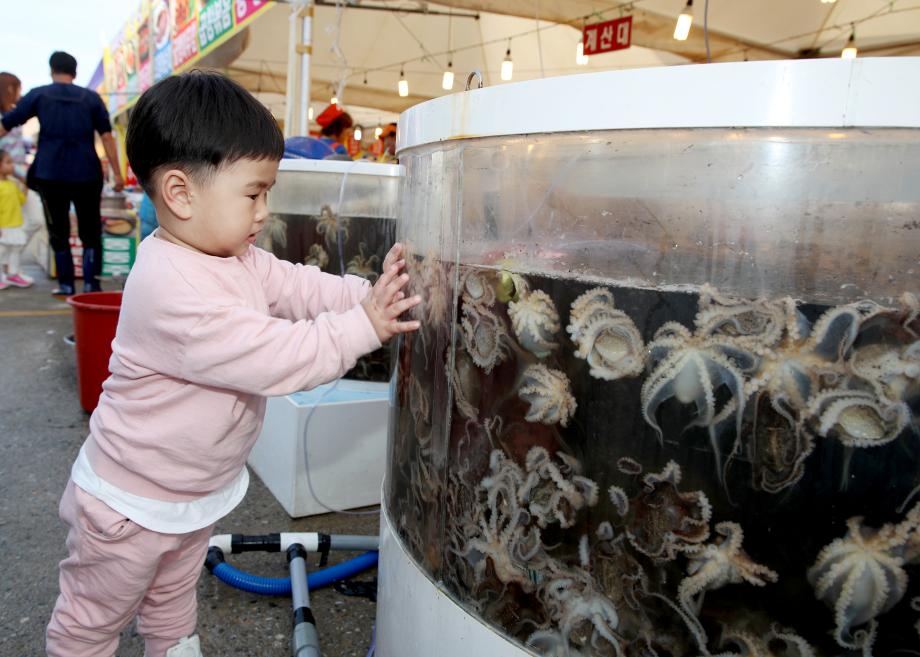 ‘주꾸미 먹고 꽃도 보고’ 태안에서 만나는 ‘화려한 봄의 향연’