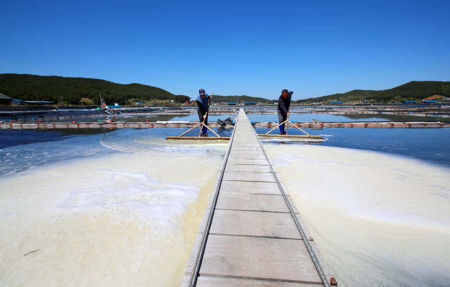 태안군, 명품 ‘송화소금’ 본격 생산 돌입!