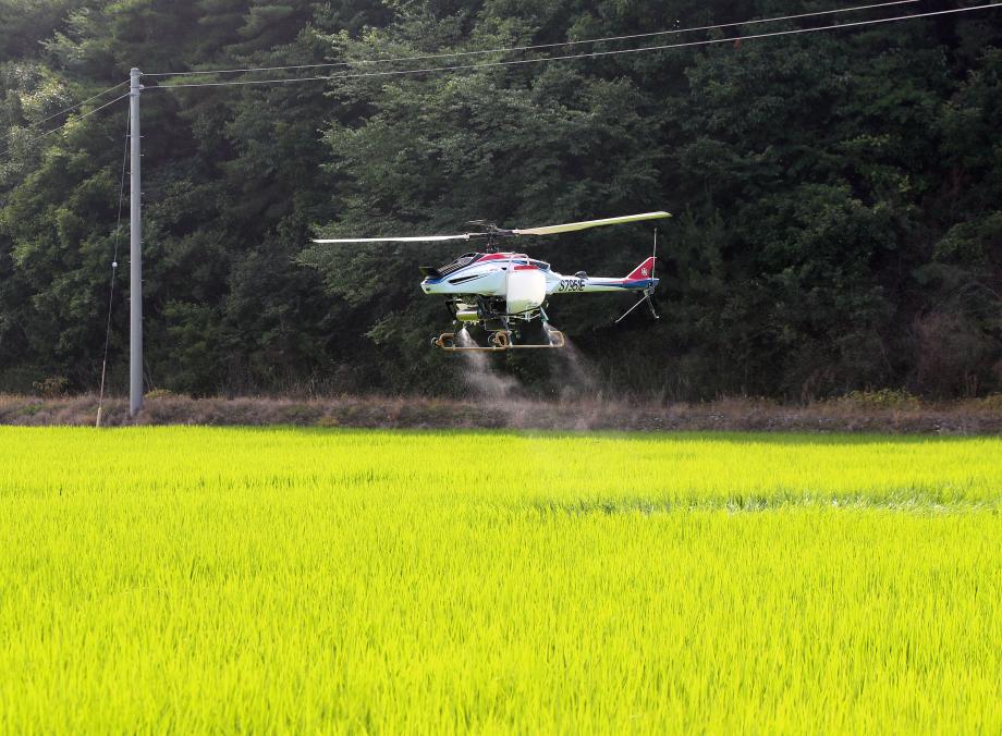 태안군, 벼 병해충 공동 항공방제 실시!