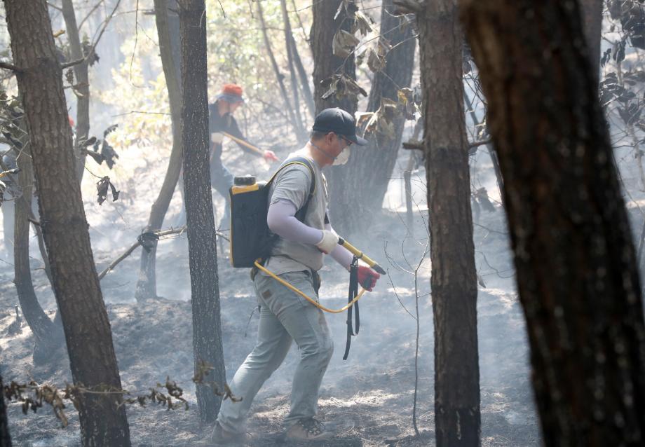 태안군, 가을철 산불예방 활동 본격 돌입!