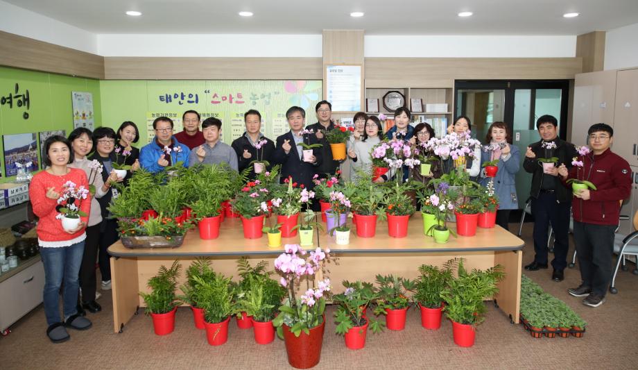 태안군, 코로나19로 위축된 꽃 소비 촉진 나서!