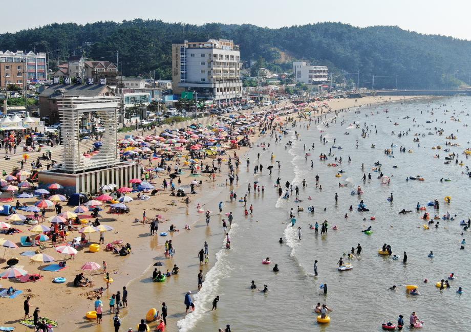 태안군, ‘2020 서해안 비치 국제 뮤직 페스타’ 유치!