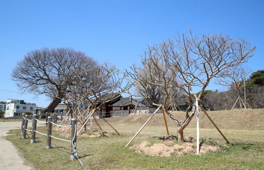 태안군, ‘경이정 소공원’ 찾고 싶은 녹색공원 만든다!