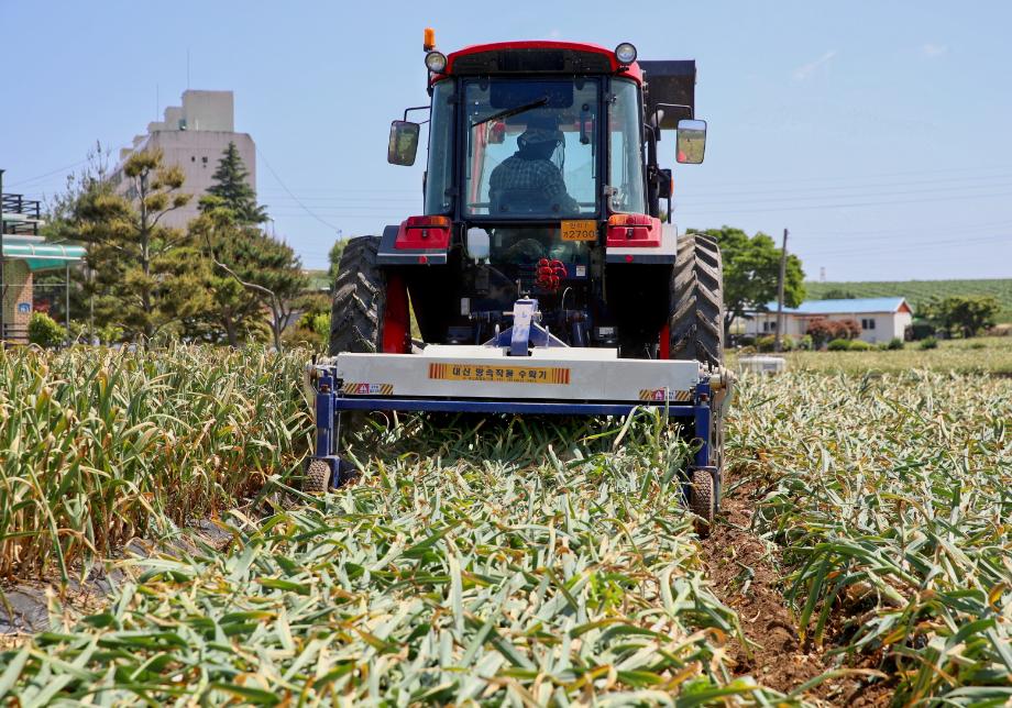 태안군, 마늘 수확철 맞아 장비ㆍ인력 총동원!