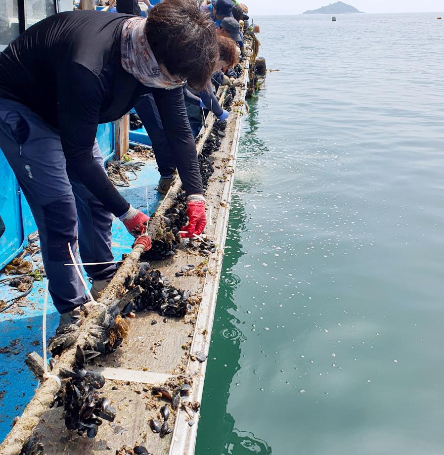 태안군, ‘해삼 자연산란장 시험 조성사업’ 추진!