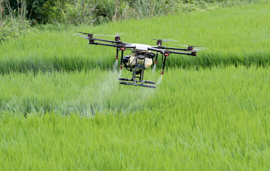 태안군, ‘무인헬기 23대·드론 71대 동원’ 벼 병해충 항공방제 나서