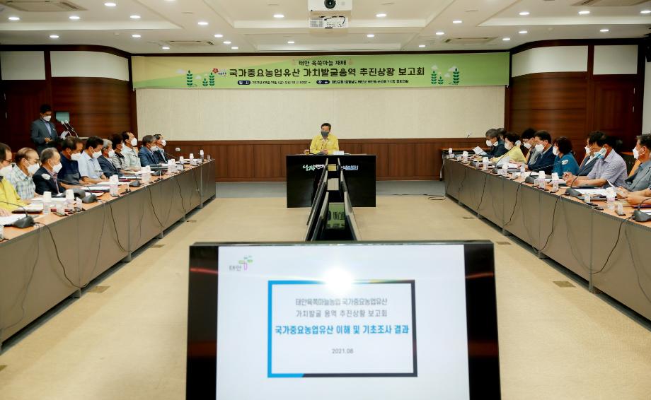 태안군, 명품 ‘태안육쪽마늘’ 국가중요농업유산 지정에 총력!