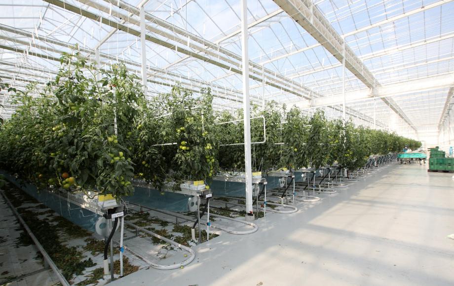 태안군, ‘반납된 국비 재확보!’ 발전소 주변지역 사업 청신호!