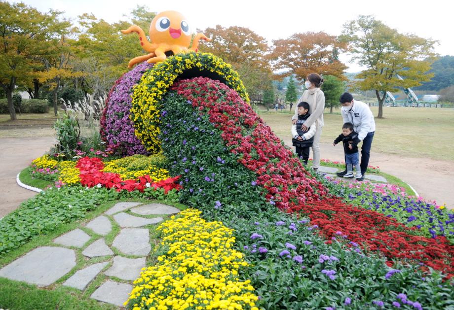 ‘가을의 정취 가득’.. 태안군, 내달 3일 국화 전시회 개최