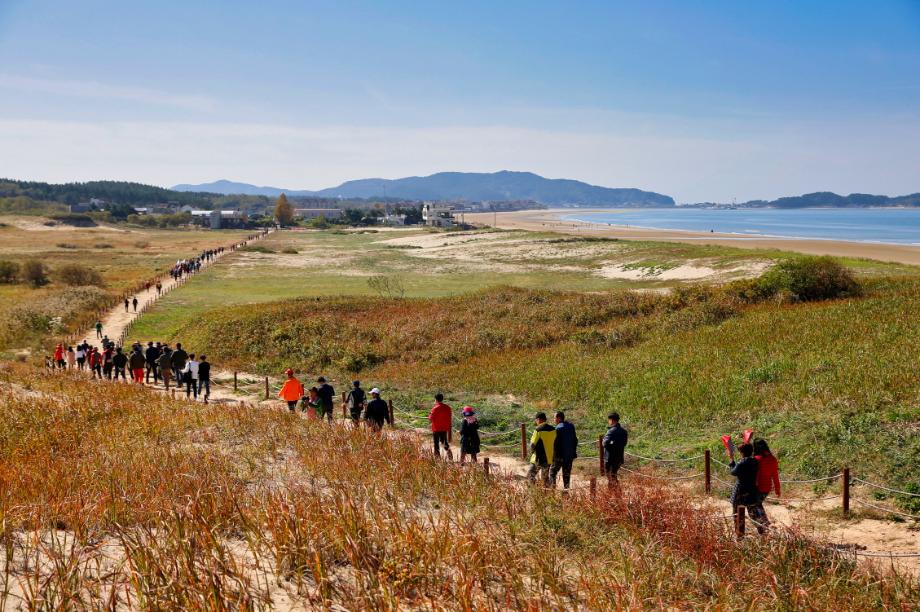 태안군, 가을의 중심에서 펼쳐지는 축제의 향연!
