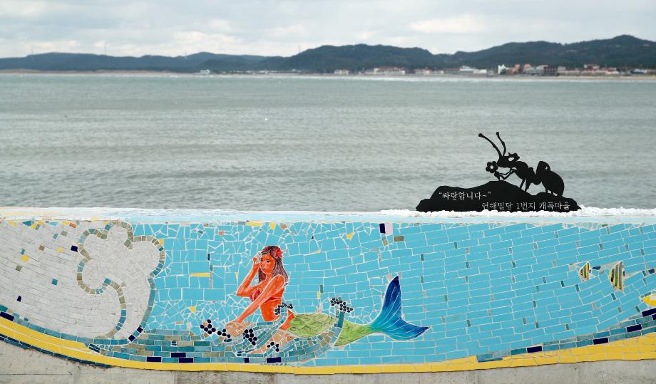 태안군 개목항, ‘타일 벽화’ 입고 새롭게 탈바꿈!