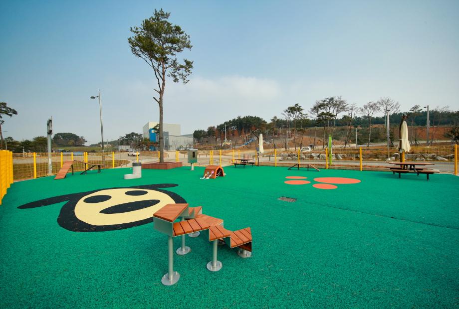 태안군, “반려동물과 함께 오세요!” 반려동물 놀이터 인기