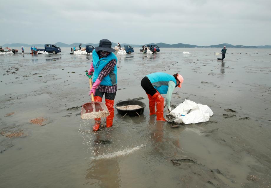 태안군, 올해 48개 수산사업에 160억 원 투입!