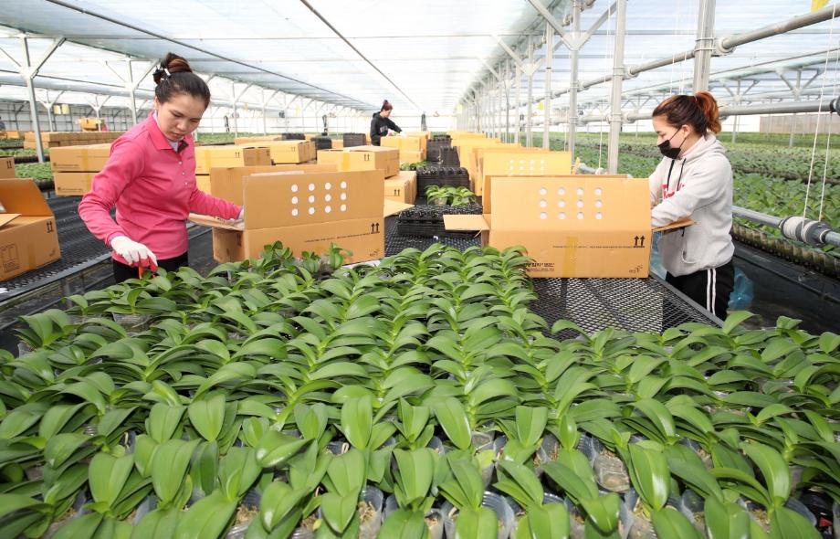 태안군, “시설원예·화훼 농가 살린다!” 올해 13억여 원 투입