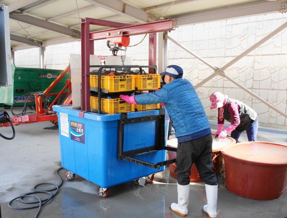 태안군, ‘키다리병 예방 총력!’ 볍씨 온탕소독 서비스 추진