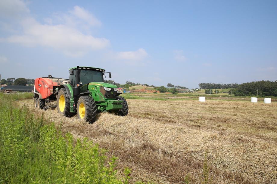 태안군, 월동 사료작물 재배 농가에 ‘적기수확’ 당부