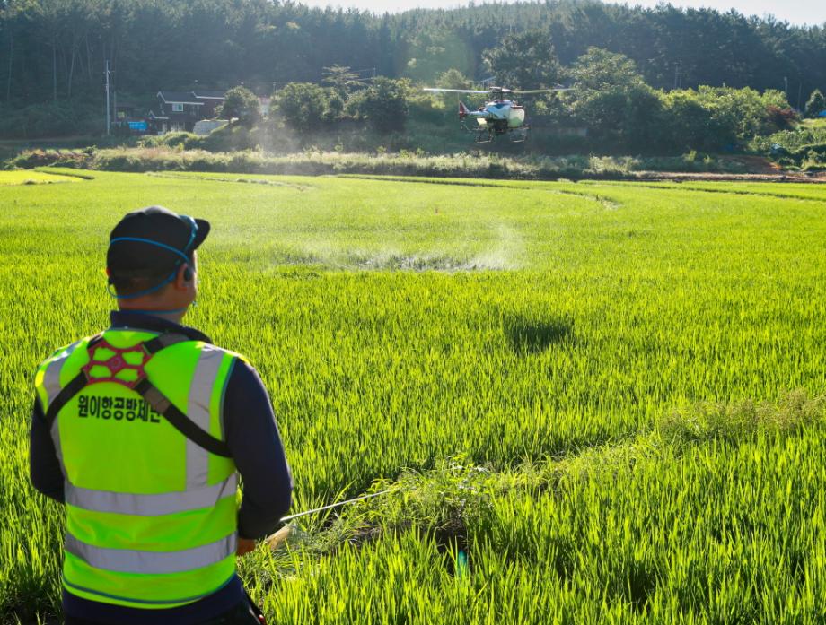태안군, 올해 병해충 항공방제에 27억 원 투입!