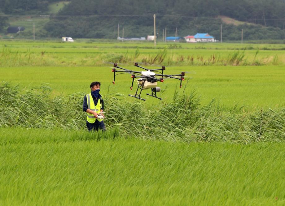 태안군, 여름철 병해충 발생·확산 방지 총력!