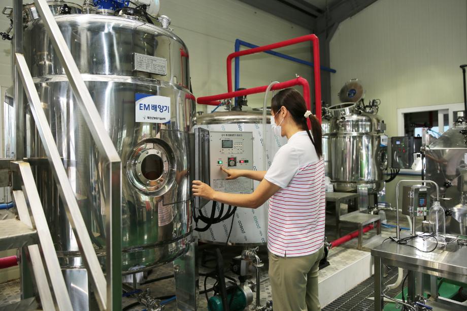 태안군, 여름철 가축 면역력 높이는 ‘유용미생물’ 공급 ‘호응’