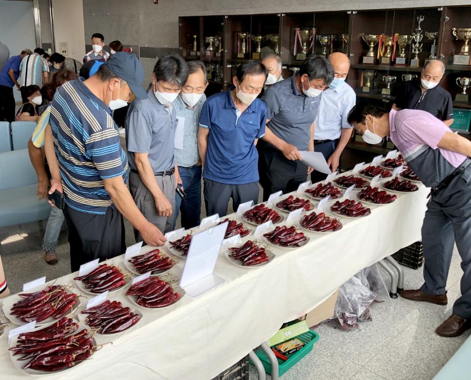 태안군, ‘2022 고추분야 시범사업 평가회’ 개최