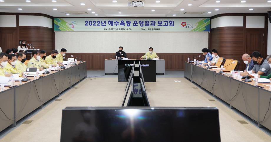 올해 태안 해수욕장 방문객, 지난해 대비 26% 늘었다