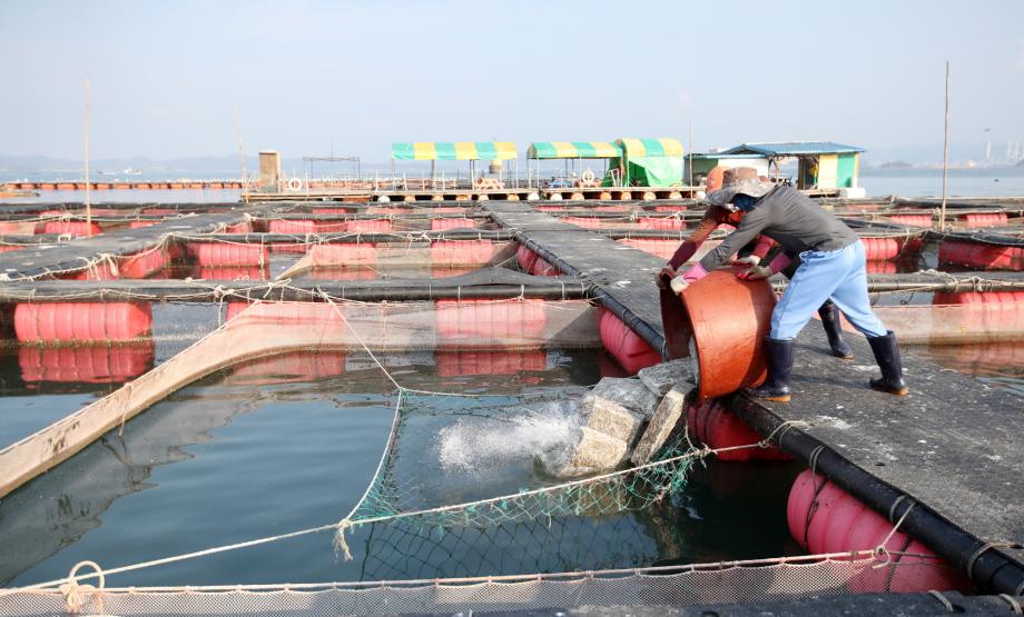 ‘쓰레기 넣은 부표’ 피해 막는다! 태안군, 친환경 부표 지원 추진