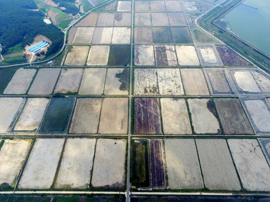 태안군, 농촌 안정 위한 농촌개발 사업 추진 총력!