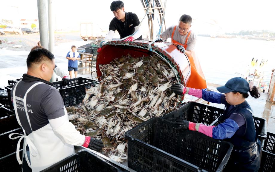 태안군, 올 한해 ‘풍요로운 어촌 조성’ 성과 빛나!