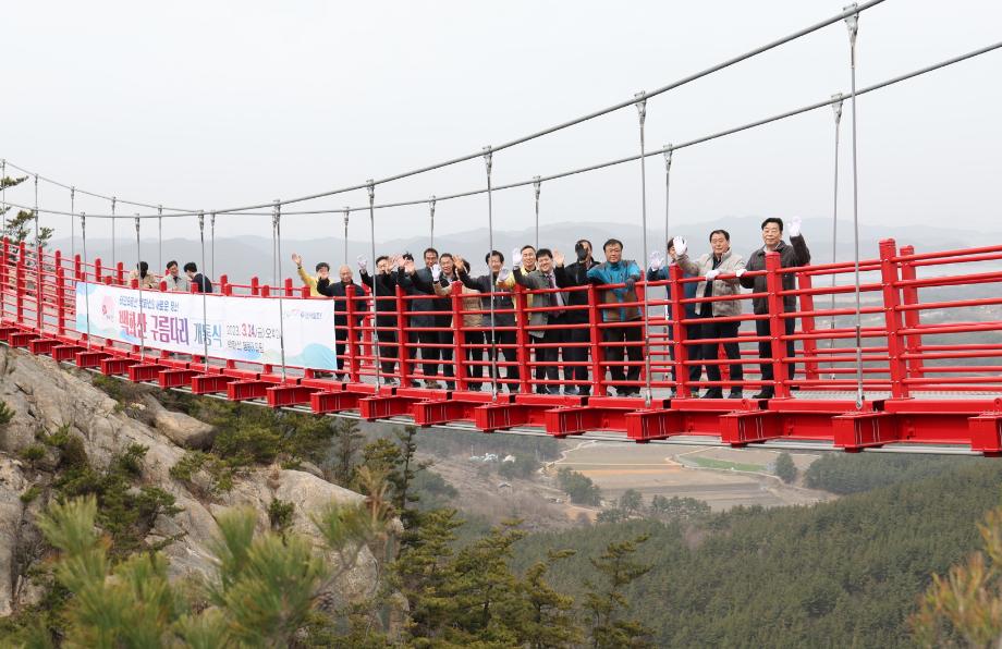 “산속 구름 위 걸어볼까” 태안 백화산 구름다리 마침내 개통!
